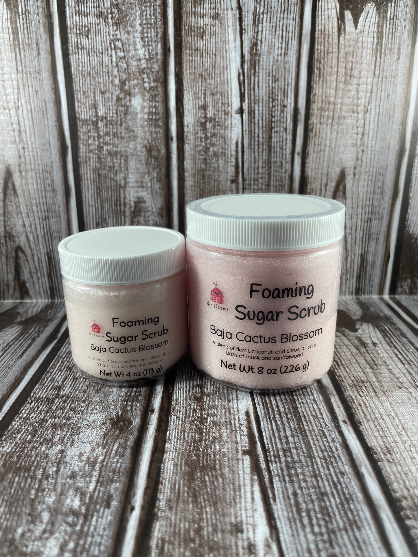 Baja Cactus Blossom Sugar Scrub